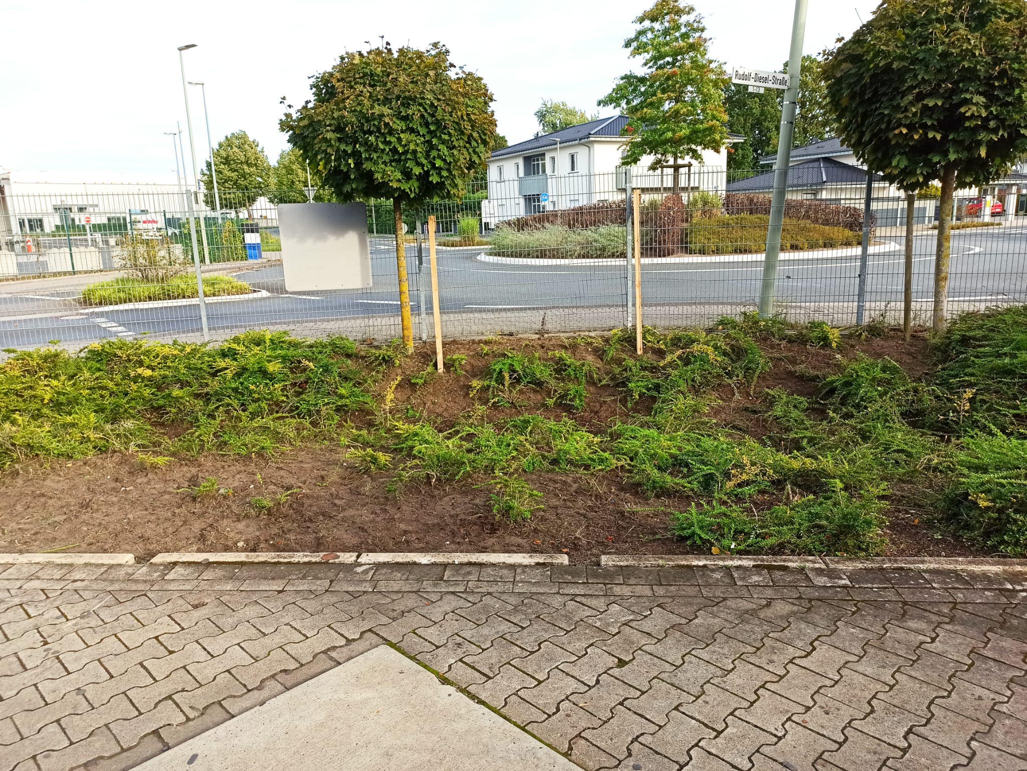 gartenschnitt