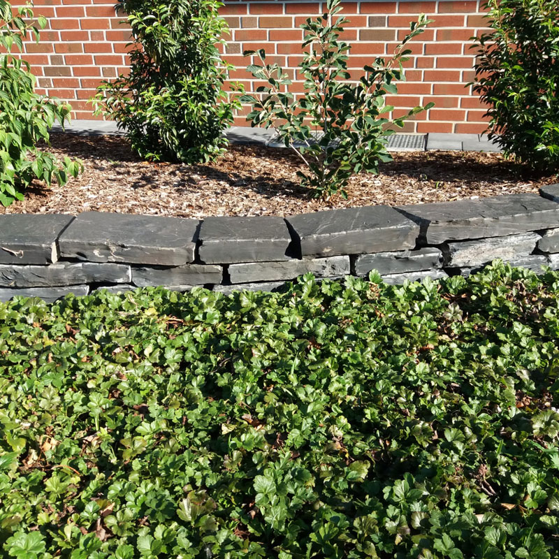 gartenbau